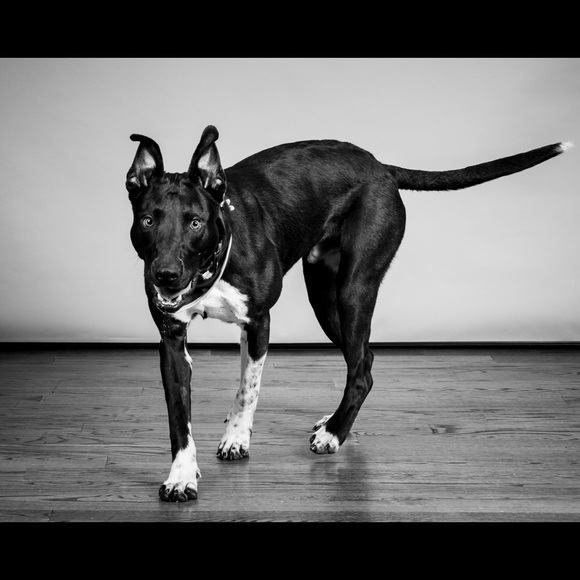 Meet your Posher, Angela - Picture 3 of 6